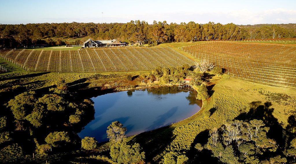 An aerial wide angle shot of the vineyard, cellar door and lake at Wills Domain, a 5 Red Star Halliday winery producing some of Margaret River’s best Cabernet Sauvignon, Shiraz, Chardonnay, Semillon, Sauvignon Blanc and sparkling wines.