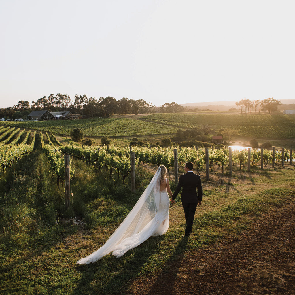 A bride and groom walk through the vineyards at Wills Domain, holding hands as the sun sets after their wedding ceremony.