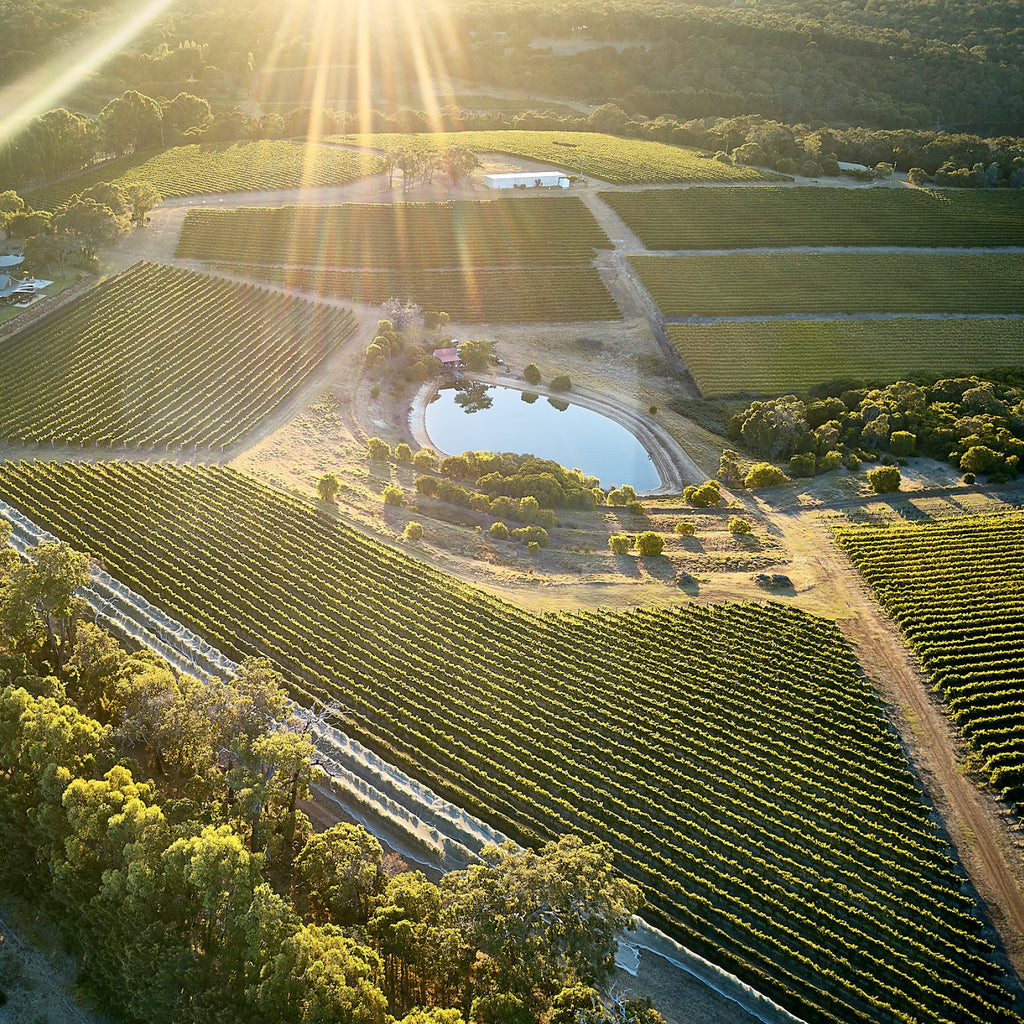 An aerial shot of the sundrenched vineyards set around a central lake at Wills Domain in Margaret River.