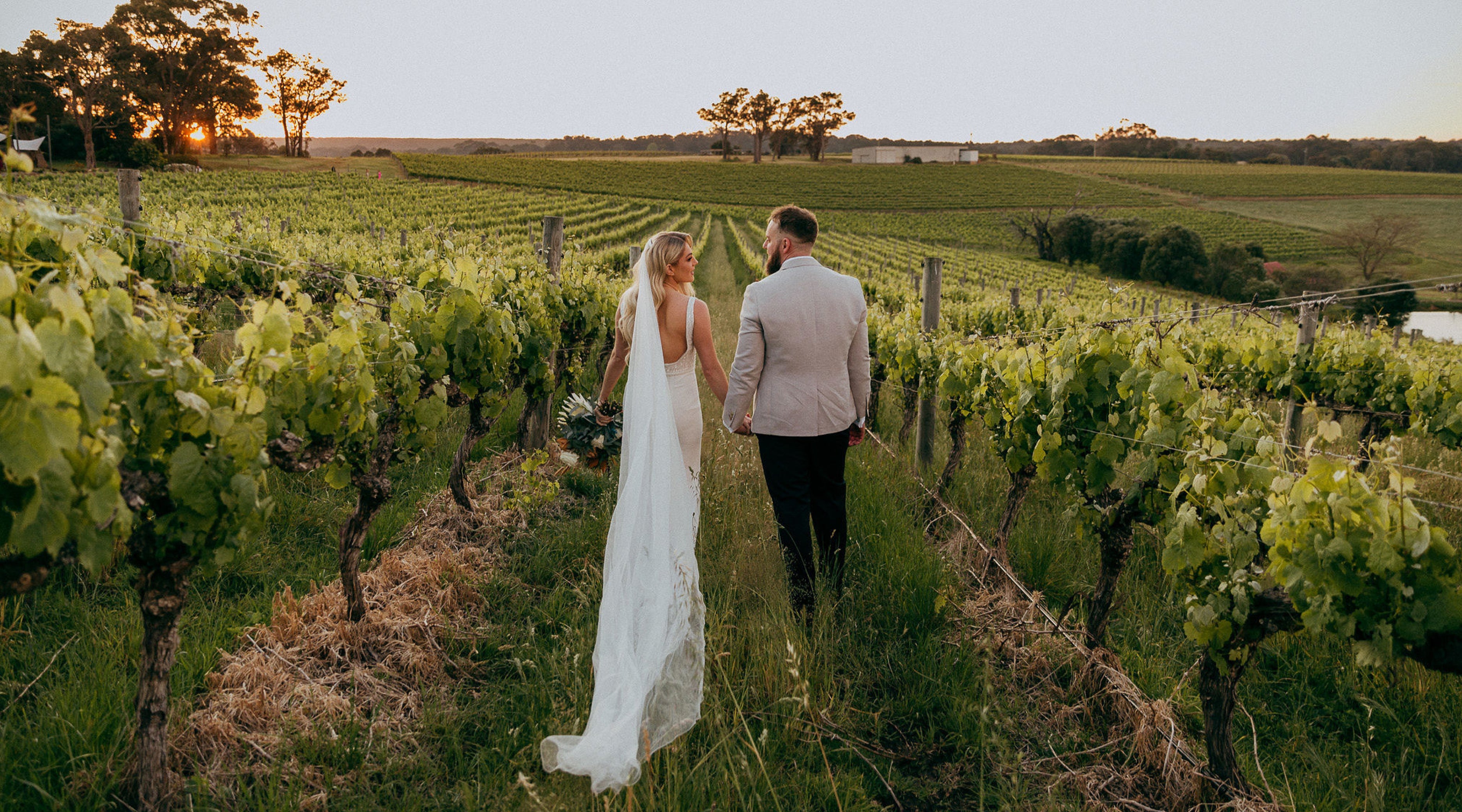 A bride and groom walk through the vineyards at Wills Domain, holding hands as the sun sets after their wedding ceremony.