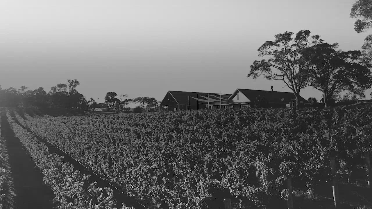 A video intro to Wills Domain, a 5 Red Star Halliday vineyard in Margaret River showing an aerial view of the vineyard and buildings, and wine being poured into a decanted.